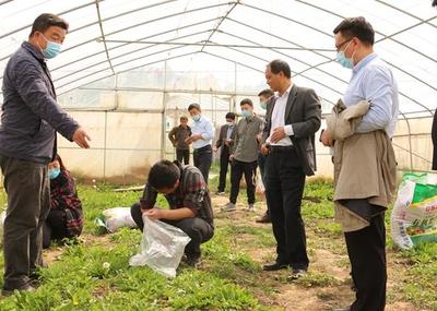 中牟縣試行食用農產品合格證制度 守護舌尖安全，推動產業升級