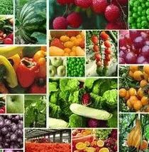 食藥監總局 堅持問題導向，加大食品農獸藥殘留治理力度，保障食用農產品安全