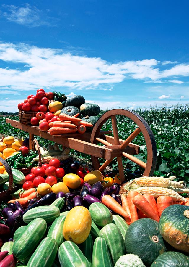 新規落地，守護舌尖安全——孫海山律師解讀《食用農產品市場銷售質量安全監督管理辦法》